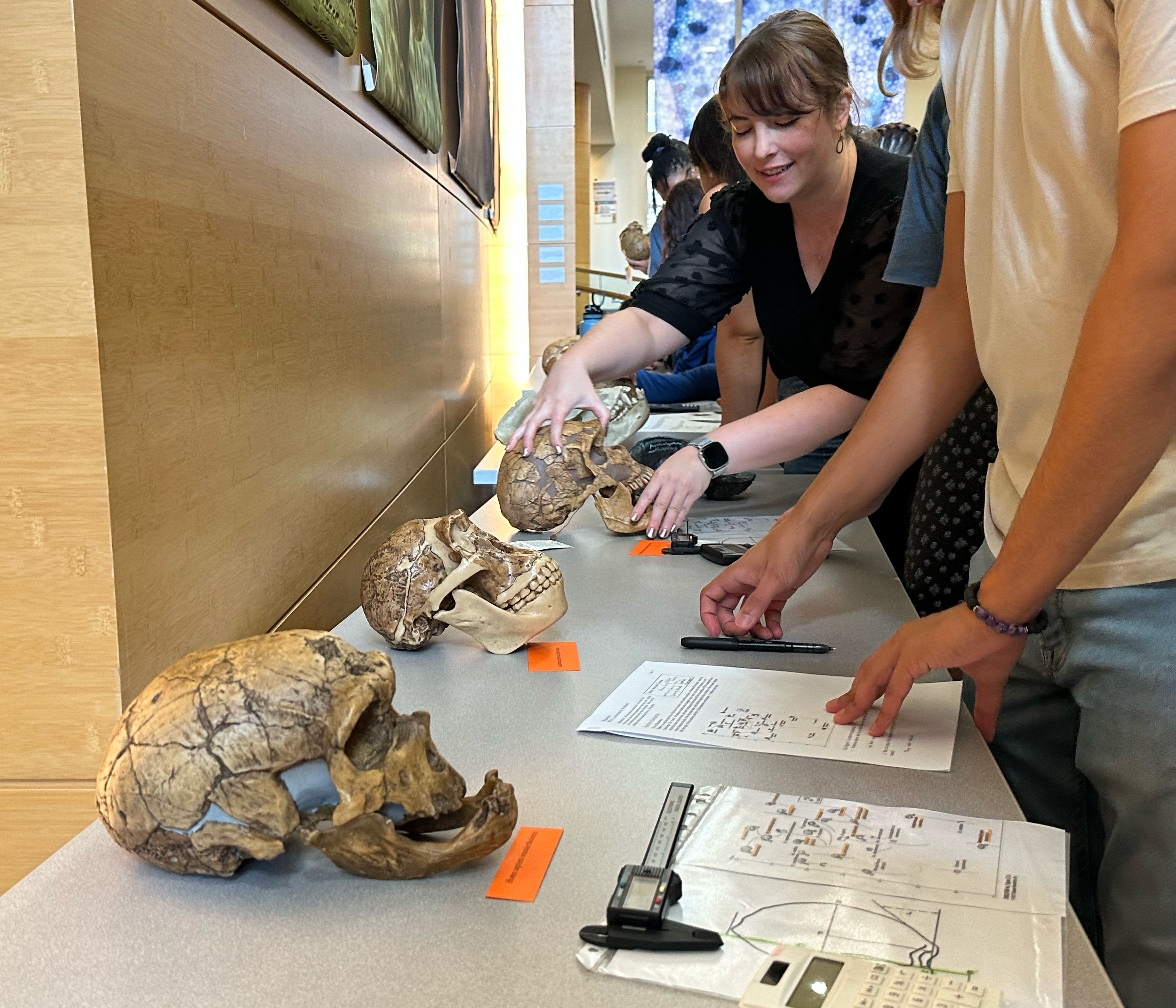 "Kimberly Paczolt holding a skull model in class"