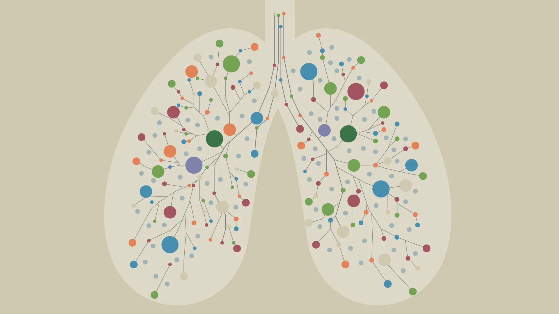 Lungs graphic stock image