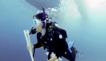 From Scuba Diver to Auditory Neurocircuitry Researcher