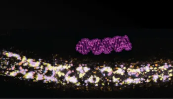 New Study Reveals How RNA Travels Between Cells to Control Genes Across Generations