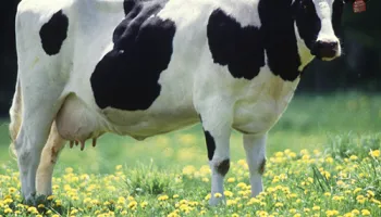 UMD Researchers Develop New Method of Tracing Methane Emissions Back to Their Source