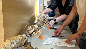 ‘Beyond Race’ Biology Course Busts Myths About Human Diversity