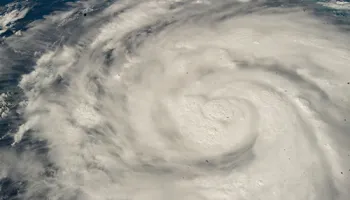 New Study Confirms Presence of Flesh-Eating and Illness-Causing Bacteria in Florida’s Coastal Waters Following Hurricane Ian