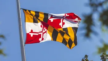 Two Science Terp Faculty Members Named MPower Professors