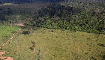 UMD Offers Undergraduate Courses on the Grand Challenge of ‘Global Change’