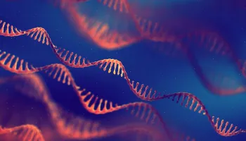 New Worm Study Paves Way for Better RNA-Based Drugs to Treat Human Disease