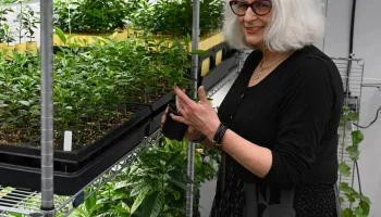 Super Sleuthing to Save Citrus
