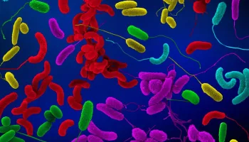 Tracking Climate-Linked Pathogens Through DNA Science