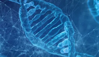 UMD Researchers Study the Intricate Processes Underpinning Gene Expression