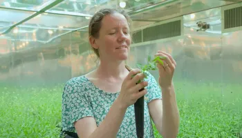 The Dynamics of Disease: Can Plant Pathogens Take the Heat?