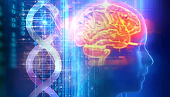 Michael Cummings Awarded $2.7M to Study Impacts of Aging on the Brain