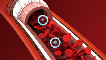 UMD Scientists Create Chemical Compound That Can Reverse Effects of Potentially Deadly Drugs