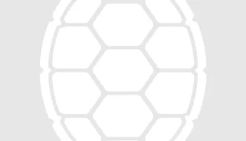 Breaking Boundaries: New Teaching Strategies Cross Disciplines