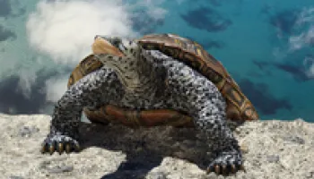 Fearless Science: A Half-Century of Bold Research