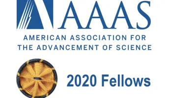 Four Faculty Members in UMD's College of Computer, Mathematical, and Natural Sciences Named 2020 AAAS Fellows 