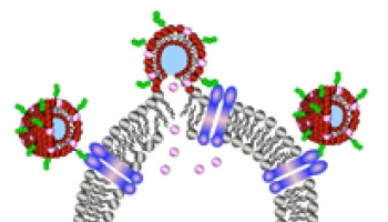 Customized Soap Bubbles Set to Transform Drug and Vaccine Delivery 
