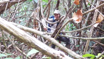 Listening to “Animal Orchestras” May Help Save the Amazon