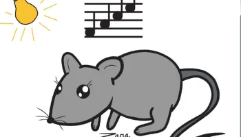 A Week in the Dark Rewires Brain Cell Networks and Changes Hearing in Mice