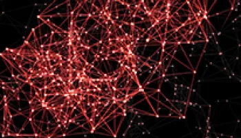 UMD Receives $3M NSF Grant to Train Graduate Students in Network Biology