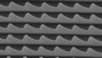 Nanostructured Surfaces Give Cells a Ticket to Ride