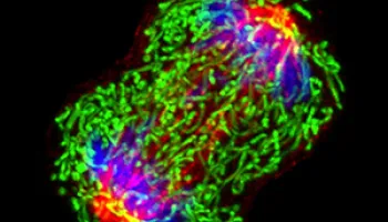 Scientists Identify New Genetic Interactions That May Impact Cancer Outcomes