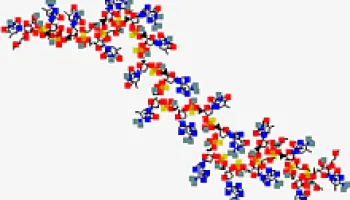 Michael Cummings Awarded FDA Grant