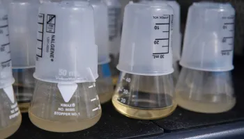 Bacteria-Virus Arms Race Provides Rare Window into Rapid and Complex Evolution