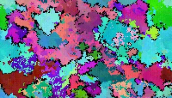 Rethinking the Wild World of Species Diversity in Microbes