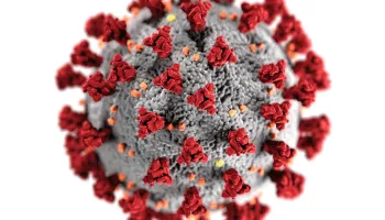 Professor Michael Cummings Receives NSF Funding to Improve Analyses of COVID-19 Genomic Data