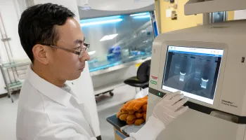 Exploring the Role of Protein Synthesis in Health