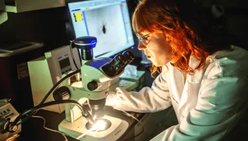 Targeting Future Lyme Disease Vaccines