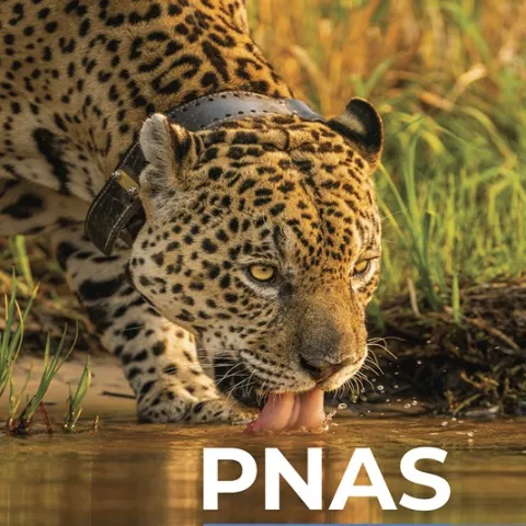 PNAS journal cover