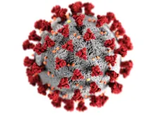 COVID-19 virus