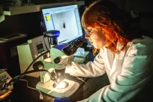 Rachel Lipman in the lab