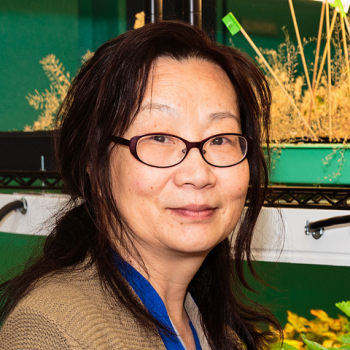 Portrait of Zhongchi Liu