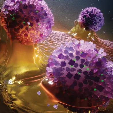 art on the cover of Advanced Biology in 2025